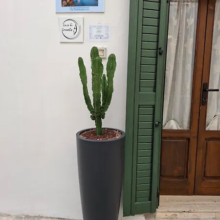 Luce Di Levante Monopoli